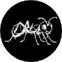 ANTS