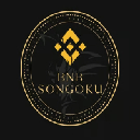 BNBSONGOKU
