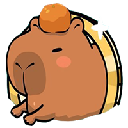 CAPY