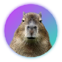 CAPY