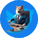CEODOGE