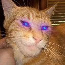 GCAT