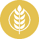 GRAIN