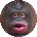 MONKE