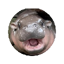 MOODENG