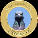 PIGEON