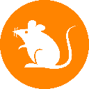 rats(Ordinals) Price | rats Price, Charts | Crypto.com