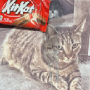 KITKAT
