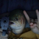 $BIGTROUT