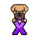 XDOGE