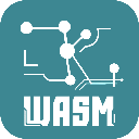 ZKWASM